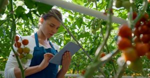 Fibra ottica e settore agroalimentare, le applicazioni che forse non conoscevi 