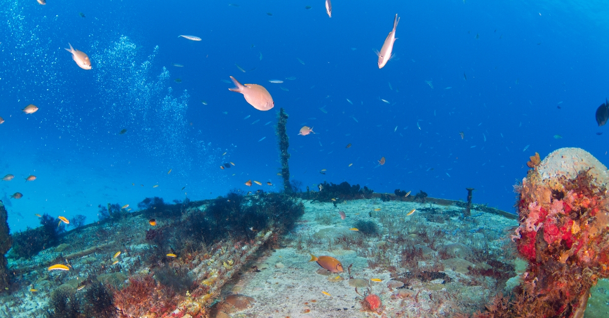 Giornata mondiale degli oceani e fibra ottica: cos’hanno in comune?