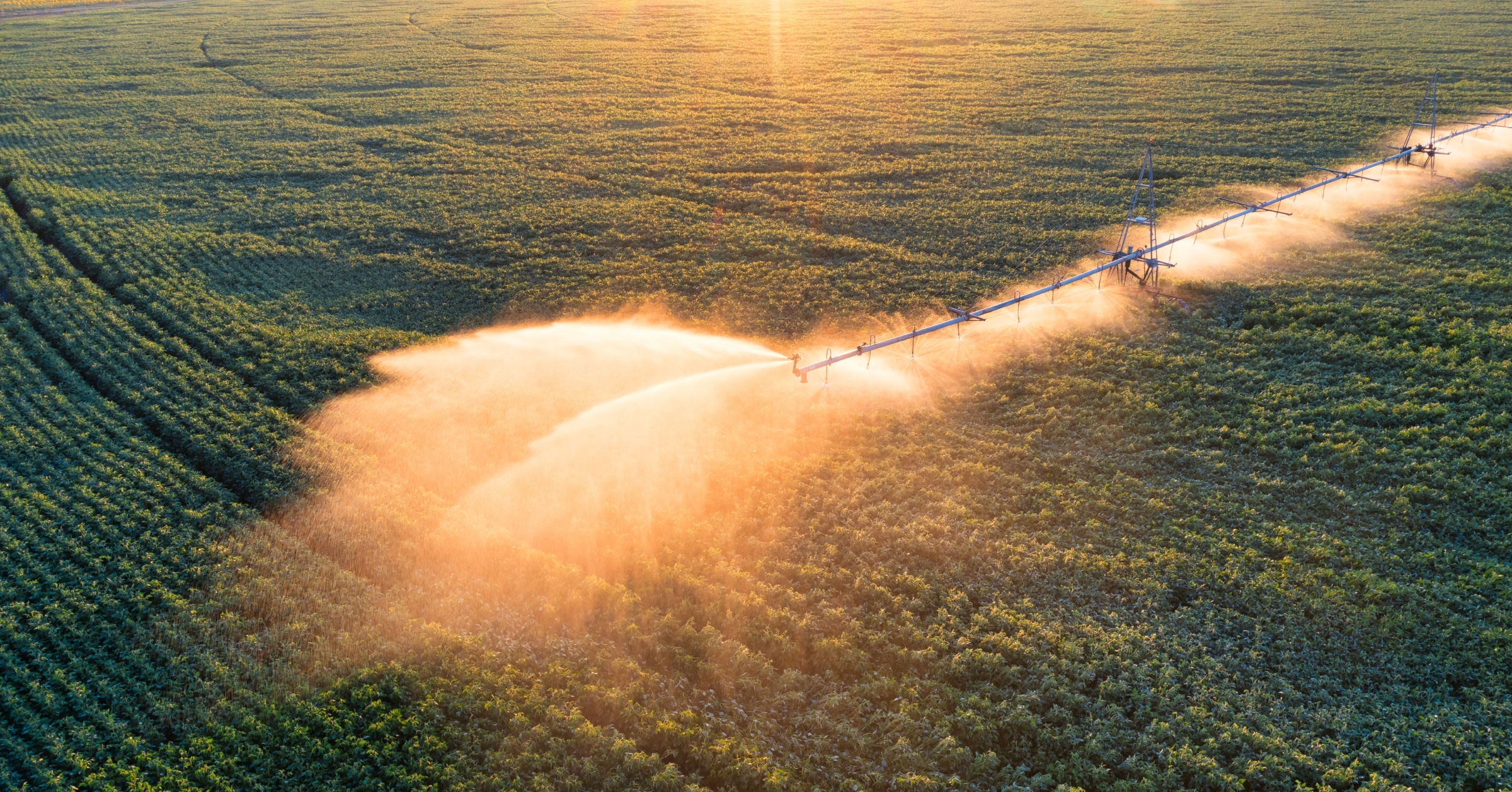 agricoltura sostenibile