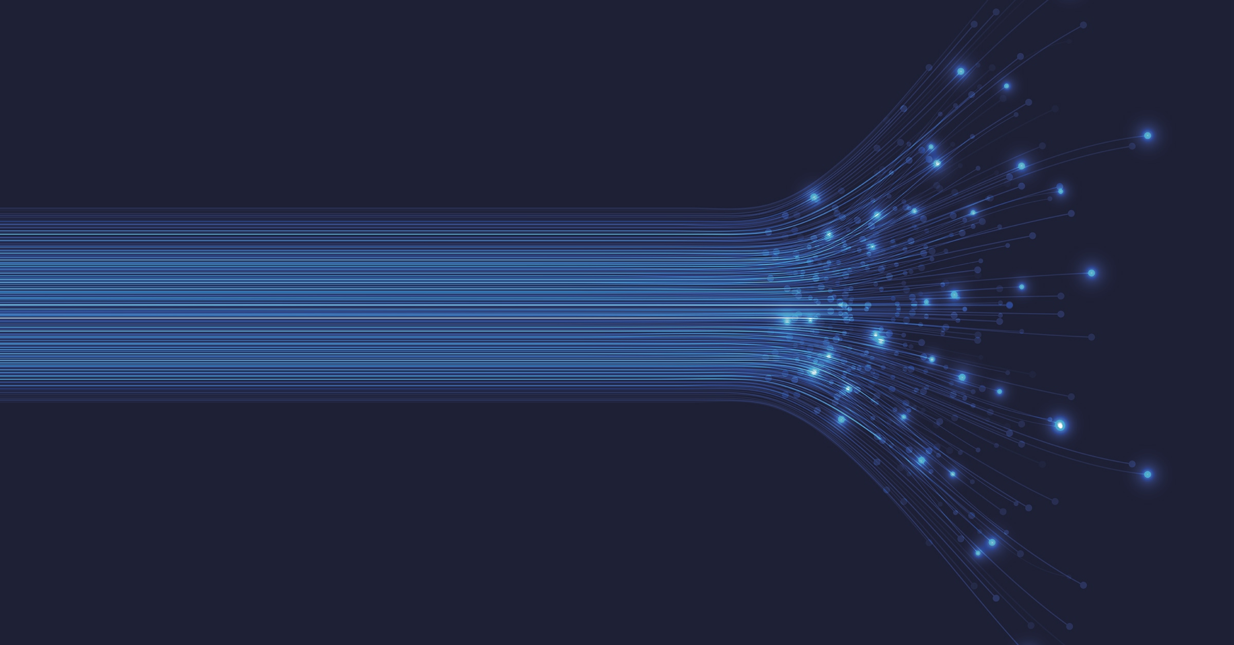 Fibra FTTH per occupazione e sostenibilità