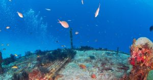 Giornata mondiale degli oceani e fibra ottica: cos’hanno in comune?