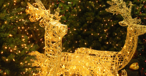 Illuminazione a fibre ottiche: quando tecnologia e festività si incontrano